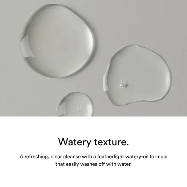 The Skin Philosophy