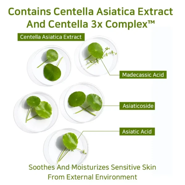 The Skin Philosophy